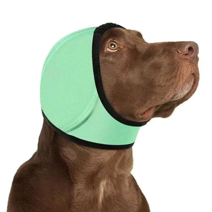 Dog Ear Protection