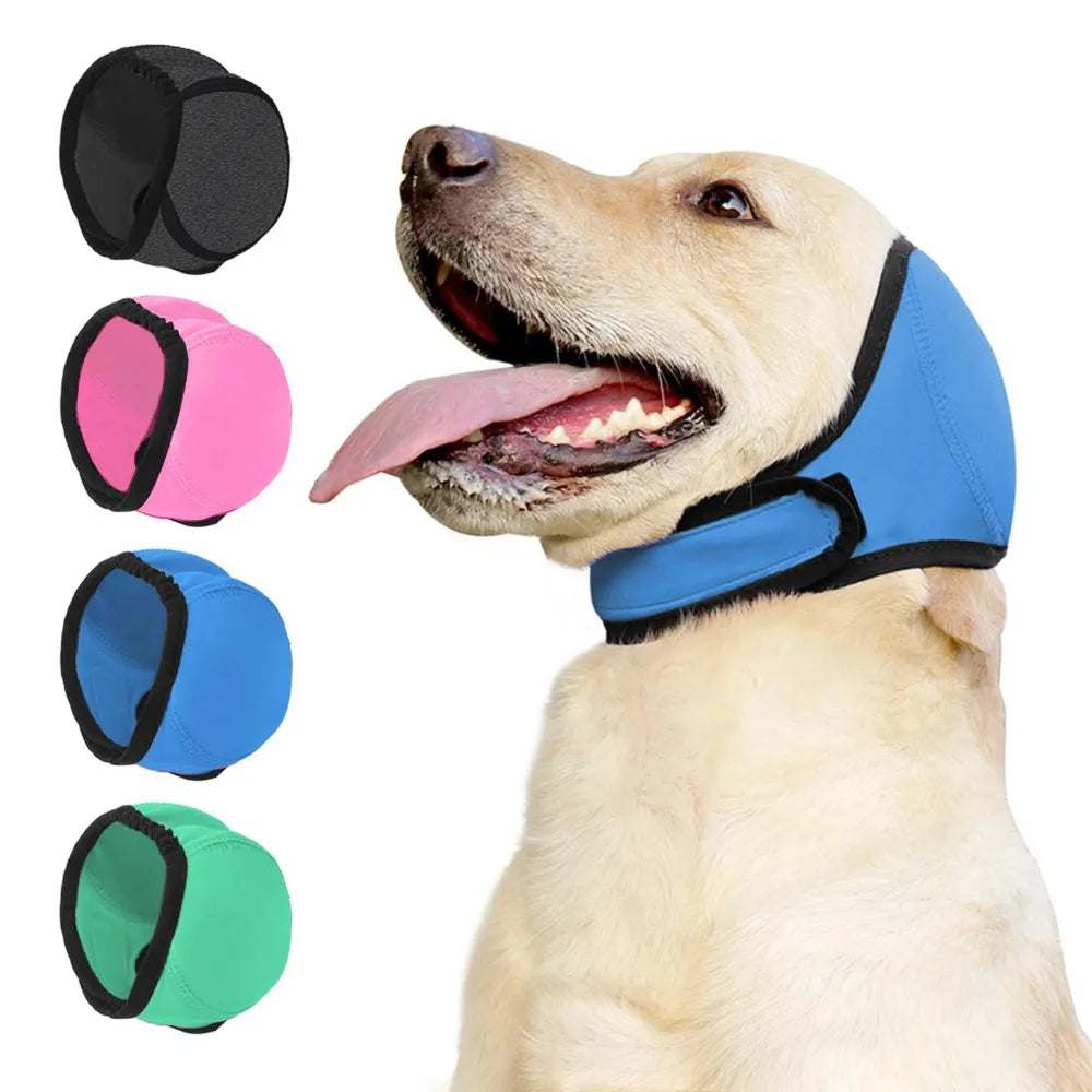 Dog Ear Protection