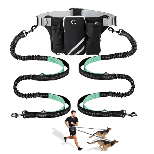 Black dog walking waist pack with storage compartments and attached bungee leash on hips for hands-free control