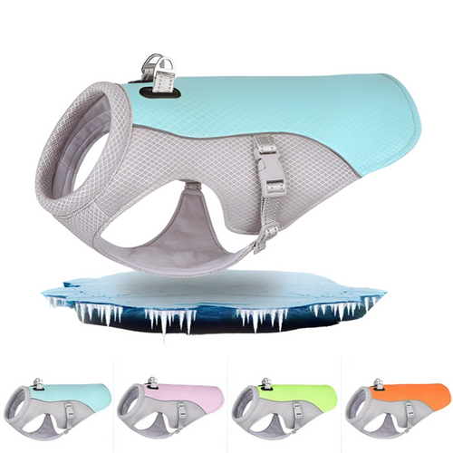 Dog wearing a breathable summer dog cooling vest with reflective trim outdoors