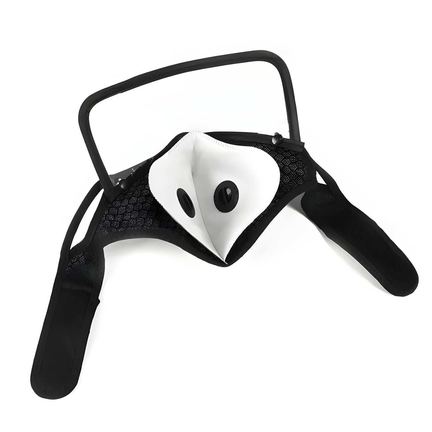 Face Mask with Goggles