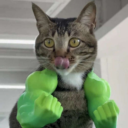 Cat Muscle Arms