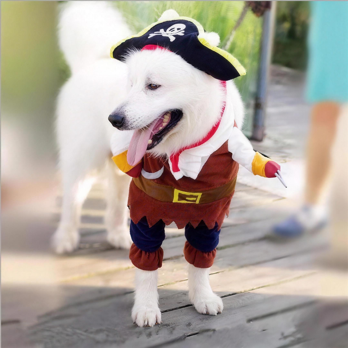 Pirate Pet Costume