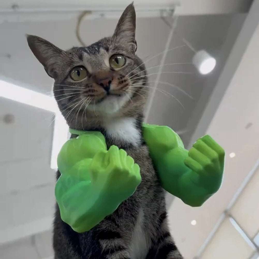 Cat Muscle Arms