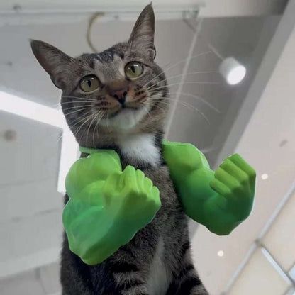 Cat Muscle Arms