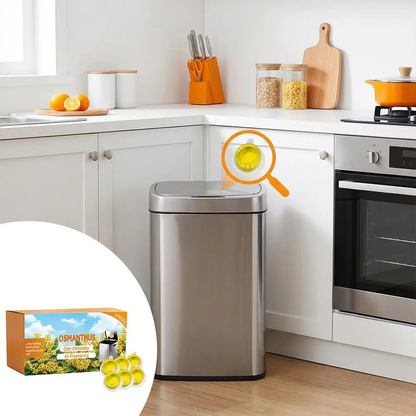 Trash Can Deodorizer